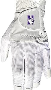 Northwestern Wildcats Golf Glove